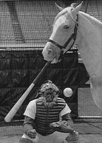 baseball-horse.jpg